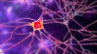 'Groundbreaking' gene therapy is first treatment for Huntington's disease to slow the condition
