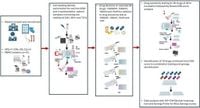 The first-in-Africa ex vivo drug sensitivity testing platform identifies novel drug combinations for South African leukaemia patient cohort - Scientific Reports