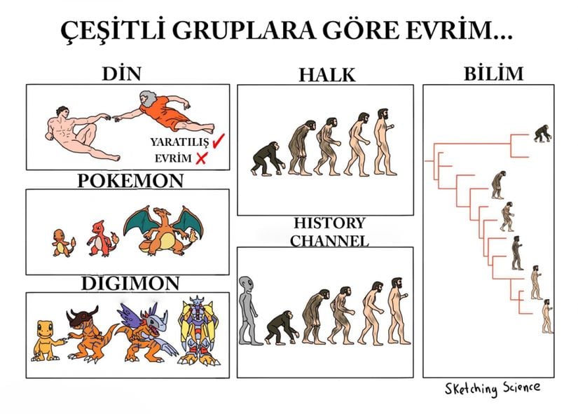 Umuyoruz ki bilimsel organizasyonların ve bilimsever insanların emekleri sayesinde evrimin herkesçe tam olarak anlaşıldığı günleri de göreceğiz. Gerçekten, o kadar da zor değil!