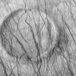 A Dust Devil Crater on Mars