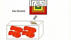 Gıda Ambalajında Nanoteknolojinin Kullanılması