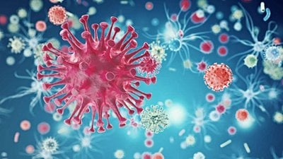 AIDS ile Savaşta, Savunma Sistemi Toksinlerini Kullanabiliriz!