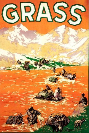 Çimenler; Bir Halkın Yaşam Mücadelesi