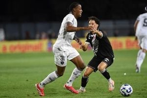 Rebecas Golazo Lifts Botafogo To Historic Title