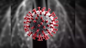 UK Braces For Surge Of Human Metapneumovirus Cases