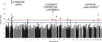 Genome-wide association and multi-omics analyses provide insights into the disease mechanisms of central serous chorioretinopathy - Scientific Reports