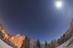 Karlı Bir Ormanın Üzerinde Geminid Meteorları
