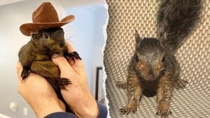 Beloved Squirrel Peanut Euthanized Sparking Outrage Online