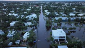 Hurricane Milton Fuels Misinformation Storm