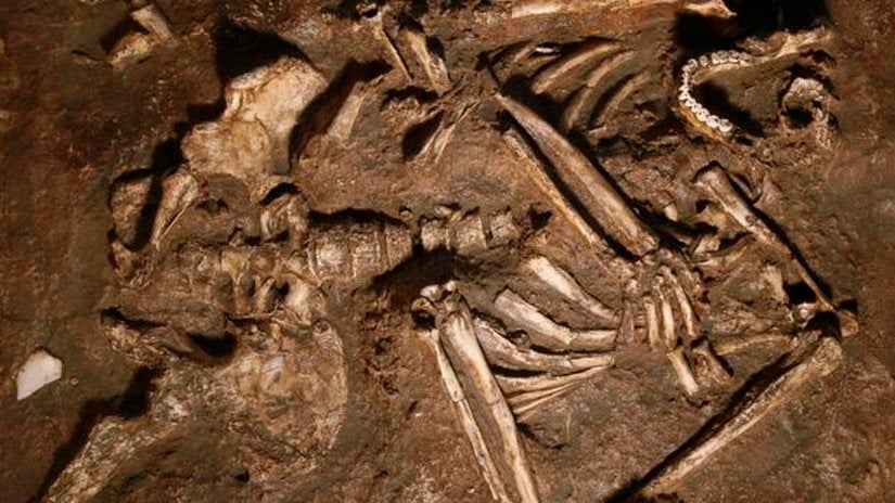 Neanderthaller. Avrupa'da bizden daha önce yaşıyorlardı.