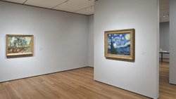 Bir Eser: Van Gogh’un Yıldızlı Gece’sinde Beyin Ne Görüyor?