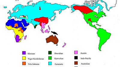Evrimsel Biyoloji, Dilin Nasıl İşlediğini Anlamamıza Yardımcı Olabilir!
