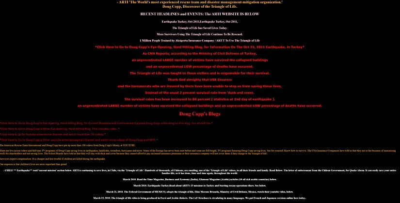 "Uluslararası Amerikan Kurtarma Takımı" sitesinin ana sayfasının giriş kısmı (4 Kasım 2020'de erişildi.)