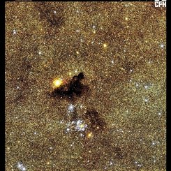Open Cluster NGC 6520 from CFHT