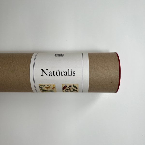 Natüralis Poster Serisi - 1