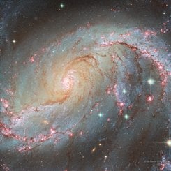 Hubble'ın Gözünden NGC 1672 Çubuklu Sarmal Galaksisi