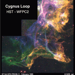 The Cygnus Loop