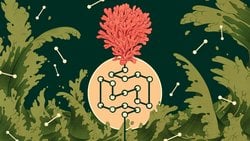 Nötral Teori Nedir? Moleküler Evrimin Temeli ve Boş Hipotezi Olan Nötr Teori, Türlerin Zaman İçinde Değişimiyle İlgili Olarak Bize Neler Söyler?