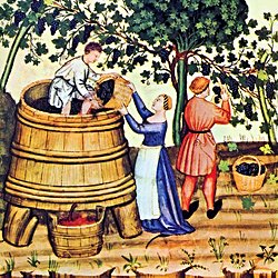 Ortaçağdaki Şaraplar Avrupa'nın İklimi Hakkındaki Boşlukları Doldurabilir!