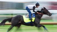 Rodriguez, trained by Bob Baffert, late scratch for Kentucky Derby; Baeza joins field