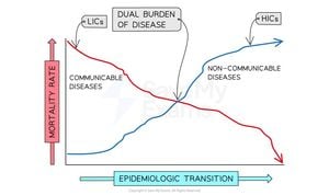 New Index Measures Shift From Infectious To Chronic Diseases