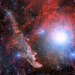  Rigel and the Witch Head Nebula 