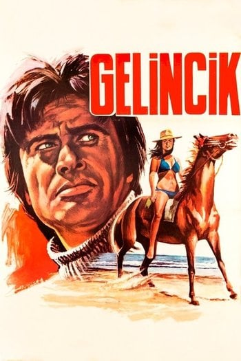 Gelincik