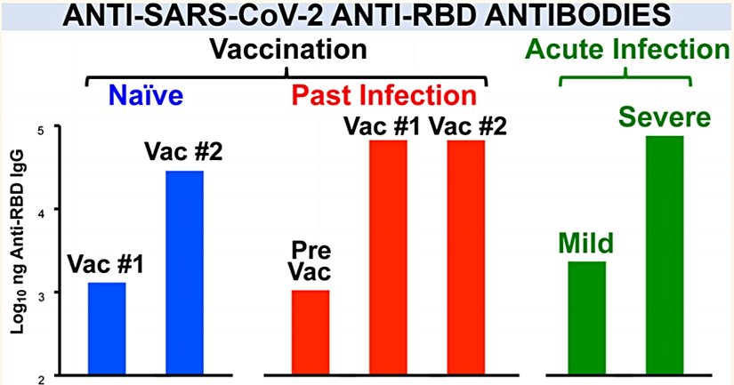 SARS-CoV-2'ye karşı Anti-RBD Antikorları