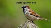 World Sparrow Day 2025: What Is The Theme Of This Year? Date, History, Significance And More