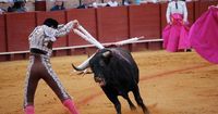 Mexico City’s vote for “violence-free” bullfights cautiously welcomed by Humane World for Animals Mexico as step in the right direction