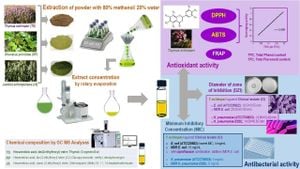 Biogenic Zinc Oxide Nanoparticles Show Promise Against Resistance