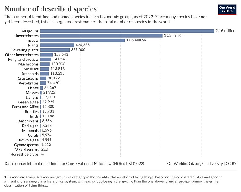 Tanımlanan türlerin sayısı