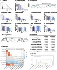 Determination of health status during aging using bending and pumping rates at various survival rates in Caenorhabditis elegans - Scientific Reports