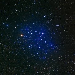 M6: Kelebek Kümesi