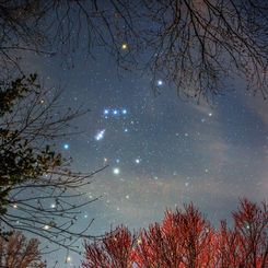  Orion Spring 