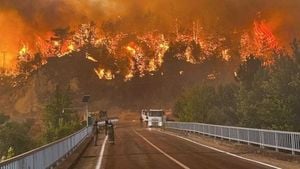 Ten Firefighters Killed Battling Wildfire In Turkey