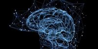 機械学習×MRI：パーキンソニズムの自動鑑別の実現へ | 医療とAIのニュース・最新記事 - The Medical AI Times