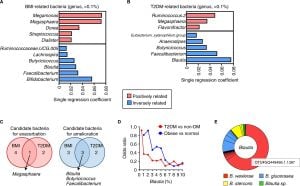 Revolutionary Lipid-Foam Prototissues Adapt Through Bacterial Activity