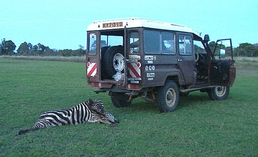 Avlanma alanının yakınında.