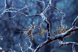 Araştırma, İnsan Beynindeki Alzheimer Moleküllerinin Yapısını Ortaya Çıkarıyor!