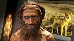 Modern İnsanlar ve Neandertaller Düşünülenden Çok Daha Önce Çiftleştiler!