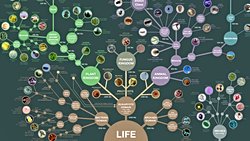 Müasir Sintez və Təkamülün Genetik İnfrastrukturu: Müasir Təkamül Nəzəriyyəsinin 16 Əsas Müddəası