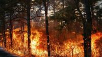 Wildfires prompt evacuation in the Carolinas as New Jersey crews battle their own blaze