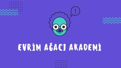 Evrim Ağacı Akademi Nedir?