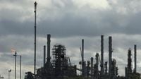 UK government demands probe into insolvency of Lindsey oil refinery