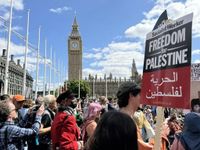 Leaked report casts doubt on UK’s justification for banning Palestine Action