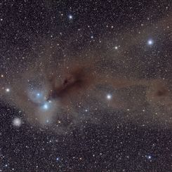 Stars and Dust in Corona Australis