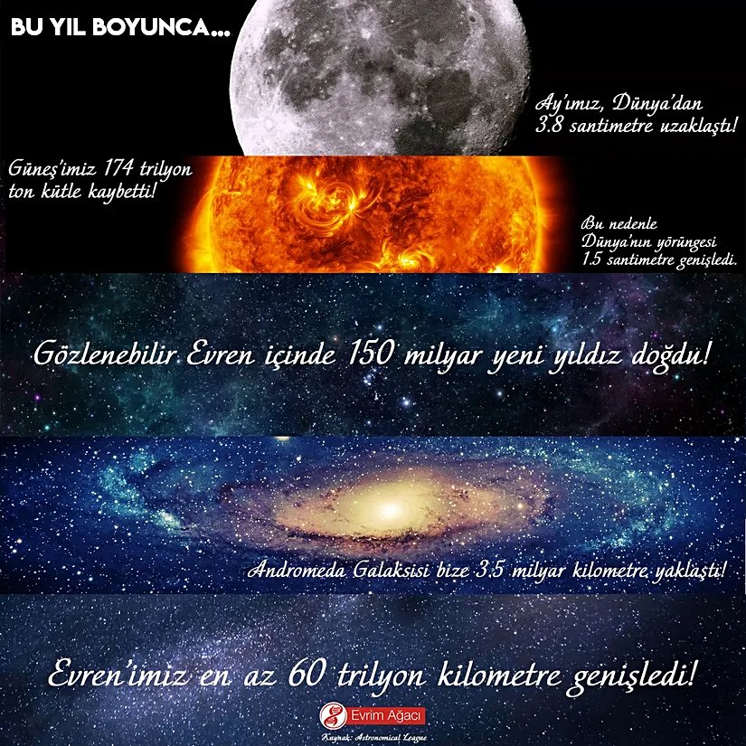 1 yıl içinde olanlar...