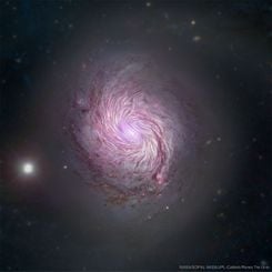  The Magnetic Fields of Spiral Galaxy M77 