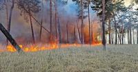 Grote bosbrand bij Drunen, dikke rookwolken te zien in omgeving